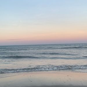 Meet your Posher, Remy